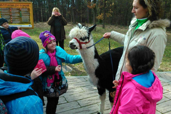 2.E za zvířátky do ZOO
