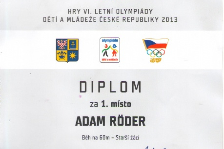 VI. letní Olympiáda dětí a mládeže 2013