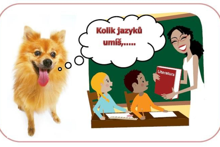Přihlášky do 3.tříd s rozšířenou výukou jazyků
