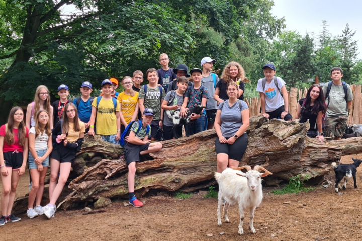 6.C v ZOO