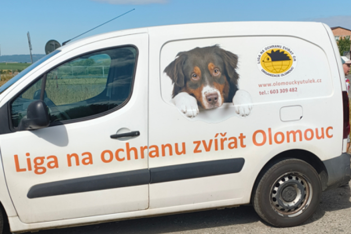 Návštěva psího útulku v Neředíně