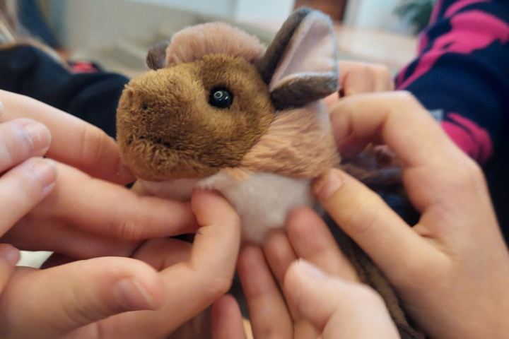 „Cesta za knihou“ aneb Netopýr Max vypráví…