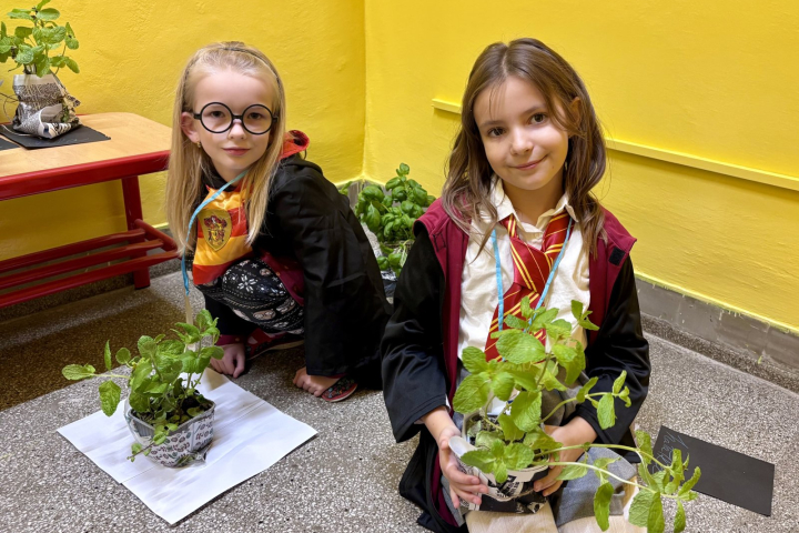 Kouzelné odpoledne s Harry Potterem