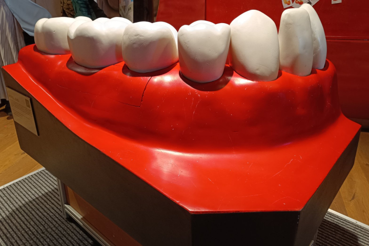 Světový den ústního zdraví 