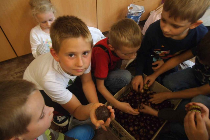 Kaštánkování ve 2.E